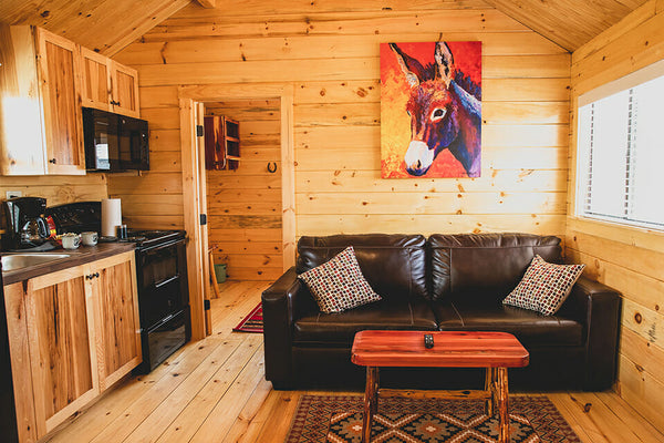 Living room with wooden walls, a black leather sofa, and a colorful donkey painting.