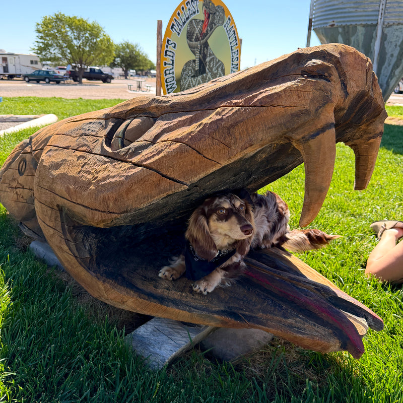 Wooden snake sculpture with a dog inside, set against a scenic background.