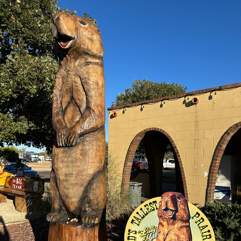 Wooden prairie Prairie Dog statue with a sign indicating it is 'World's Tallest Prairie Dog' in front of a building.