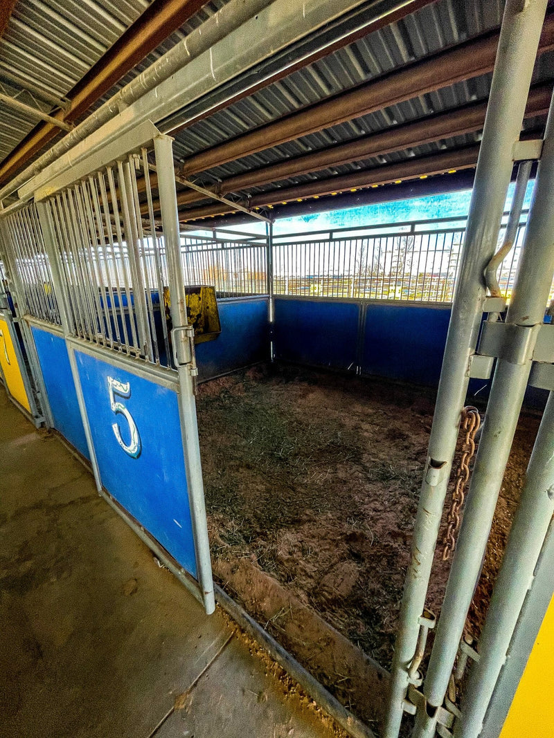 Stable with blue stalls and number 5, metal gates, and a yellow object.